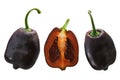 Brown Rocoto chiles C. pubescens, paths Royalty Free Stock Photo