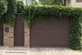 Brown roller shutter door of garage near entrance overgrown with beautiful climbing plants Royalty Free Stock Photo