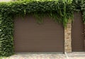 Brown roller shutter door of garage near entrance overgrown with beautiful climbing plants Royalty Free Stock Photo