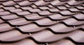 Brown roof of metal roofing