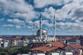 Brown roofs of houses and a mosque