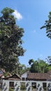 Brown roofs and sky