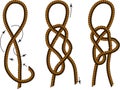 Brown Rope borders with Different Knots