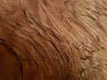 Brown rough split wood grain with gradation