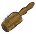 Brown round hair brush vector illustration