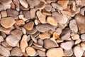 Brown rounded stones of heterogeneous structure, background