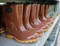 Brown rubber boots, also called wellington boots, in a long row. Royalty Free Stock Photo