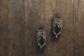 Brown running shoes laid on wooden floor.