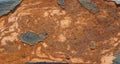 brown rusted steel metal texture background Royalty Free Stock Photo