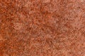 brown rusty background, texture for the background iron