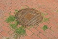 Brown rusty sewer hatch on paving slabs