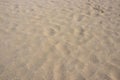 Brown sand with step walking Royalty Free Stock Photo