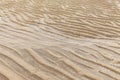 Brown sand curls after the sea water recedes pattern and background texture