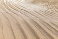 Brown sand curls after the sea water recedes patterna and background texture