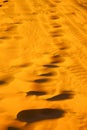 the brown sand dune in footstep desert