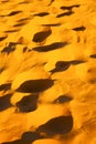 the brown sand dune in footstep