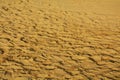 Brown sand and wind traces, background Royalty Free Stock Photo