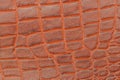 Brown scales macro background, embossed under the skin of a crocodile