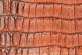 Brown scales macro background, embossed under the skin of a crocodile, cognac tones, trend,