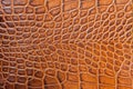 Brown scales macro exotic background, embossed under the skin of a reptile, crocodile. Texture genuine leather close-up