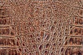 Brown scales macro exotic background, embossed under the skin of a reptile, crocodile. Texture genuine leather close-up