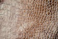 Brown scales macro exotic background, embossed under the skin of a reptile. Texture genuine leather close-up