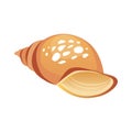 Brown sea spiral seashell, an empty shell of a sea mollusk. Colorful cartoon illustration Royalty Free Stock Photo