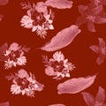 Brown Seamless Palm. Scarlet Pattern Textile. Coral Tropical Foliage. Ruby Flower Texture. Pink Flora Textile. Spring Textile.