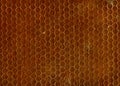 Brown Seamless Texture Royalty Free Stock Photo