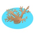 Brown seaweed icon isometric vector. Dark brown seaweed in marine water icon