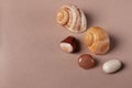 Brown semi-precious stones and shells as decorative elements,
