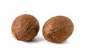 Brown shaggy coconuts isolated on a white background