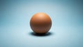 Egg is centered on a light blue background. The egg casts a soft shadow Royalty Free Stock Photo