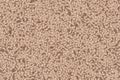 Brown sherpa seamless pattern with plush texture