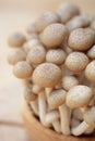 brown shimeji mushrooms or enokitake mushrooms in wooden bowl, fresh shimeji mushrooms