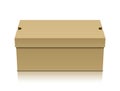 Brown shoe box Royalty Free Stock Photo