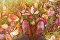 Brown shoes on background of fallen yellow red leaves, autumn walk in forest, park Royalty Free Stock Photo