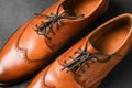 Brown shoes close-up on a black background. Classic men`s shoes made of genuine leather. Men`s accessories. Details of men`s Royalty Free Stock Photo