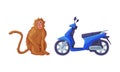 Brown Sitting Monkey and Motor Scooter as Bali Traditional Cultural Attribute Vector Set