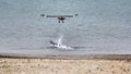 Brown skua attacking a penguin