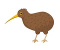 Brown small kiwi bird with long beak on white