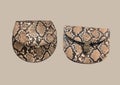 Snake clutches pattern. Fashion women accessories Royalty Free Stock Photo
