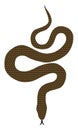 Brown snake, illustration, vector