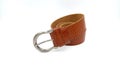 Brown snake leather belt on isolated white Royalty Free Stock Photo