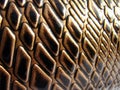 Brown Snake Luxury Leather Royalty Free Stock Photo