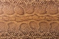 Brown snake pattern imitation, background