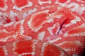 Brown snake skin, animal print fabric texture background. Close up view of Python Ball body, snake skin texture pattern Royalty Free Stock Photo