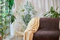 A brown sofa with beige capes in a living room with a flower and a window with curtains. Interior and Home decor