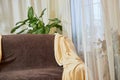 A brown sofa with beige capes in a living room with a flower and a window with curtains. Interior and Home decor