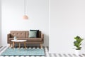 Brown sofa, pillows, coffee table and lamp in a living room interior next to an empty wall and plant. Place for your poster or
